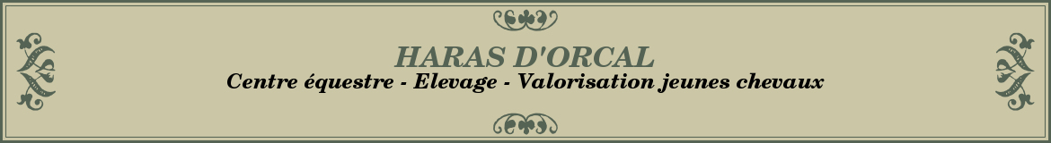 HARAS D'ORCAL